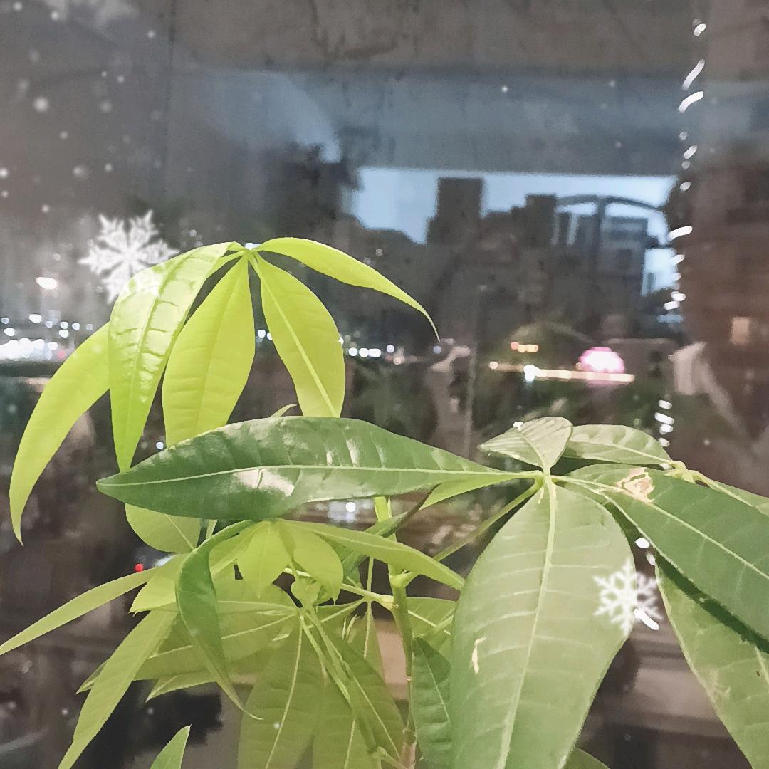 禾三