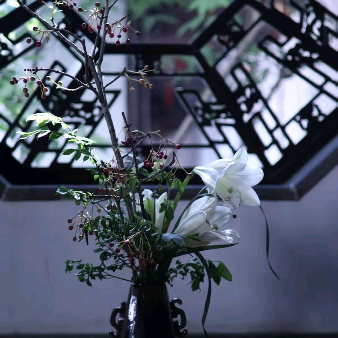 开心❤️每天🌹