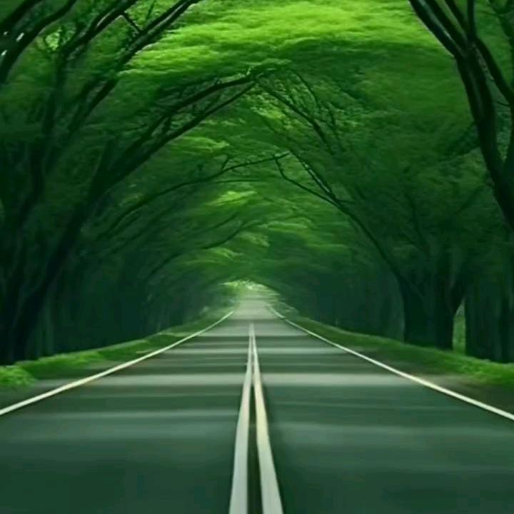 梦里水乡