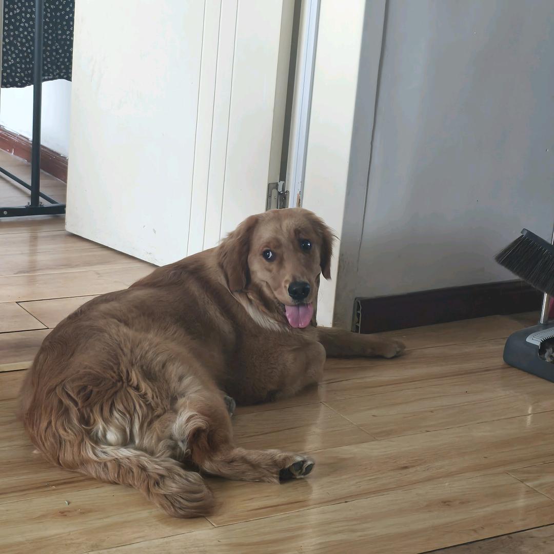 上海智琳安科技有限公司