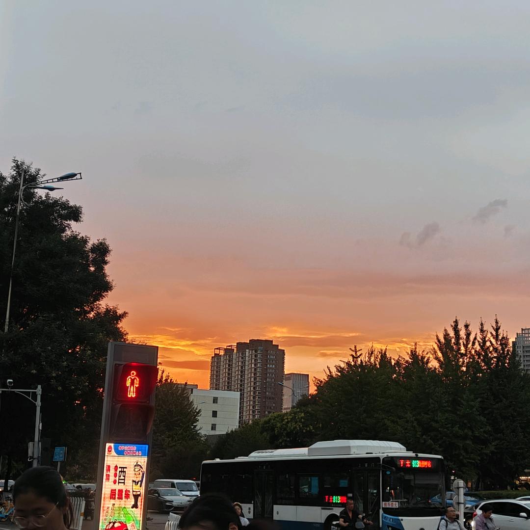 王哈哈