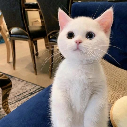 铸健东方——文笑教练