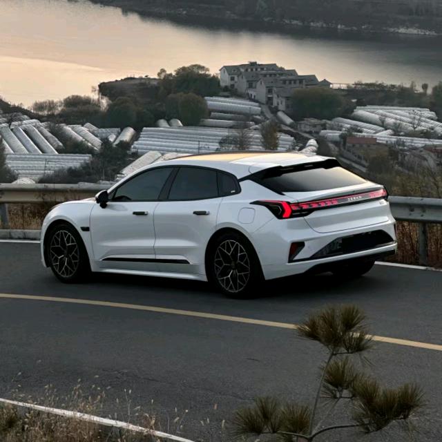 勇顺名车行(专干新能源)