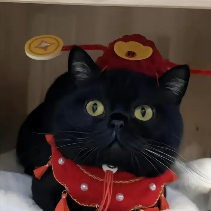 🌈无心🇨🇳法师💫不CAi