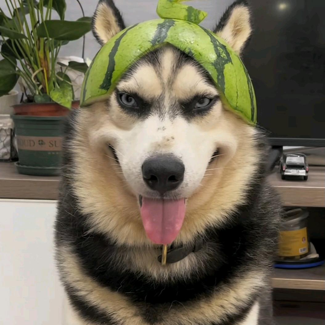 奥德 彪