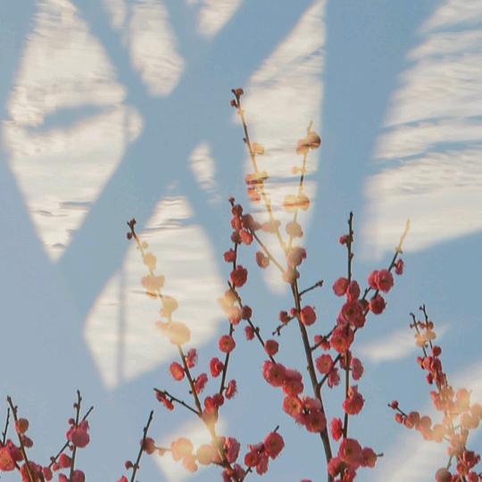 幸福美满一生一世