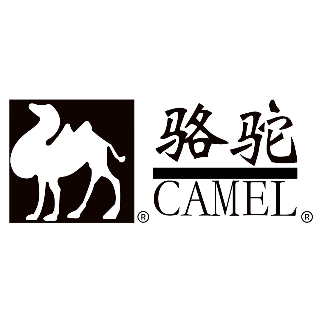 CAMEL骆驼智能电器旗舰店