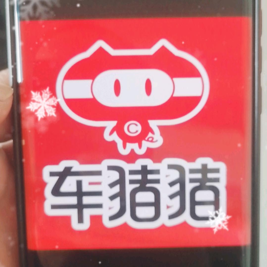 车猪猪