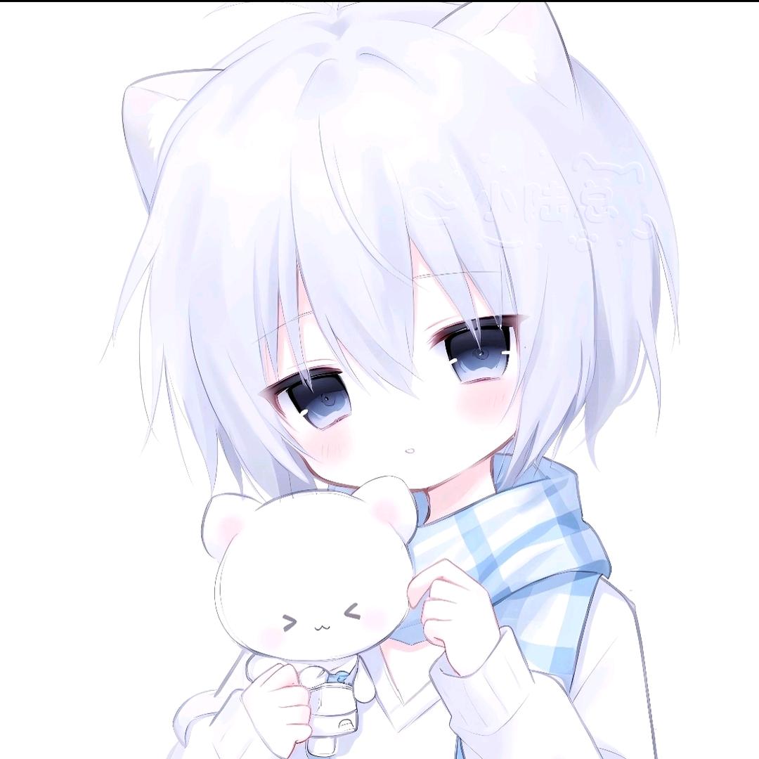 小陆总