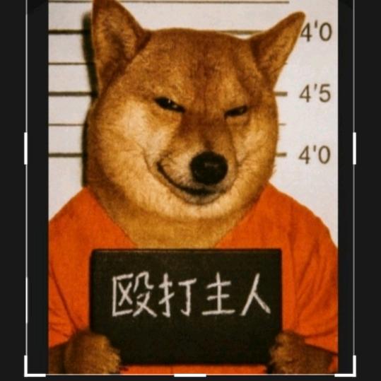 王仼彺汪旺