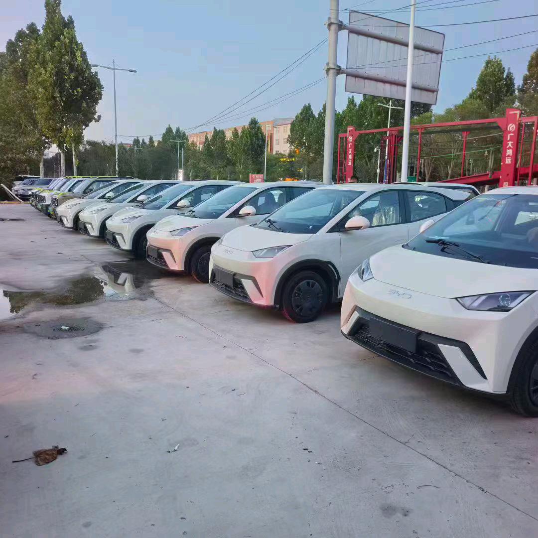 嘉禾二手新能源