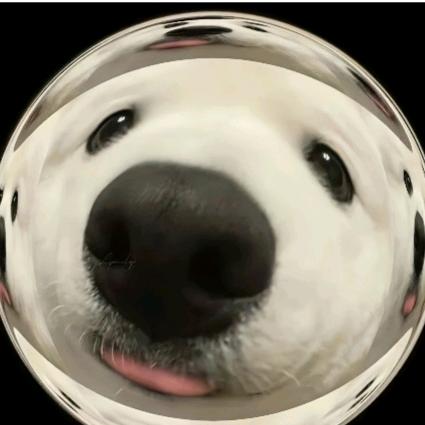 睡不醒的火火火