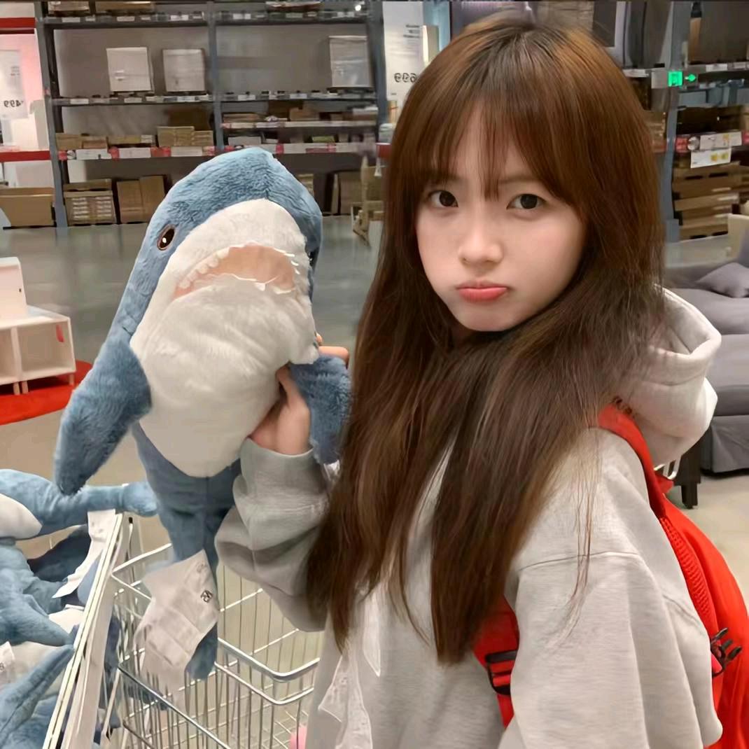 地上有点张先生