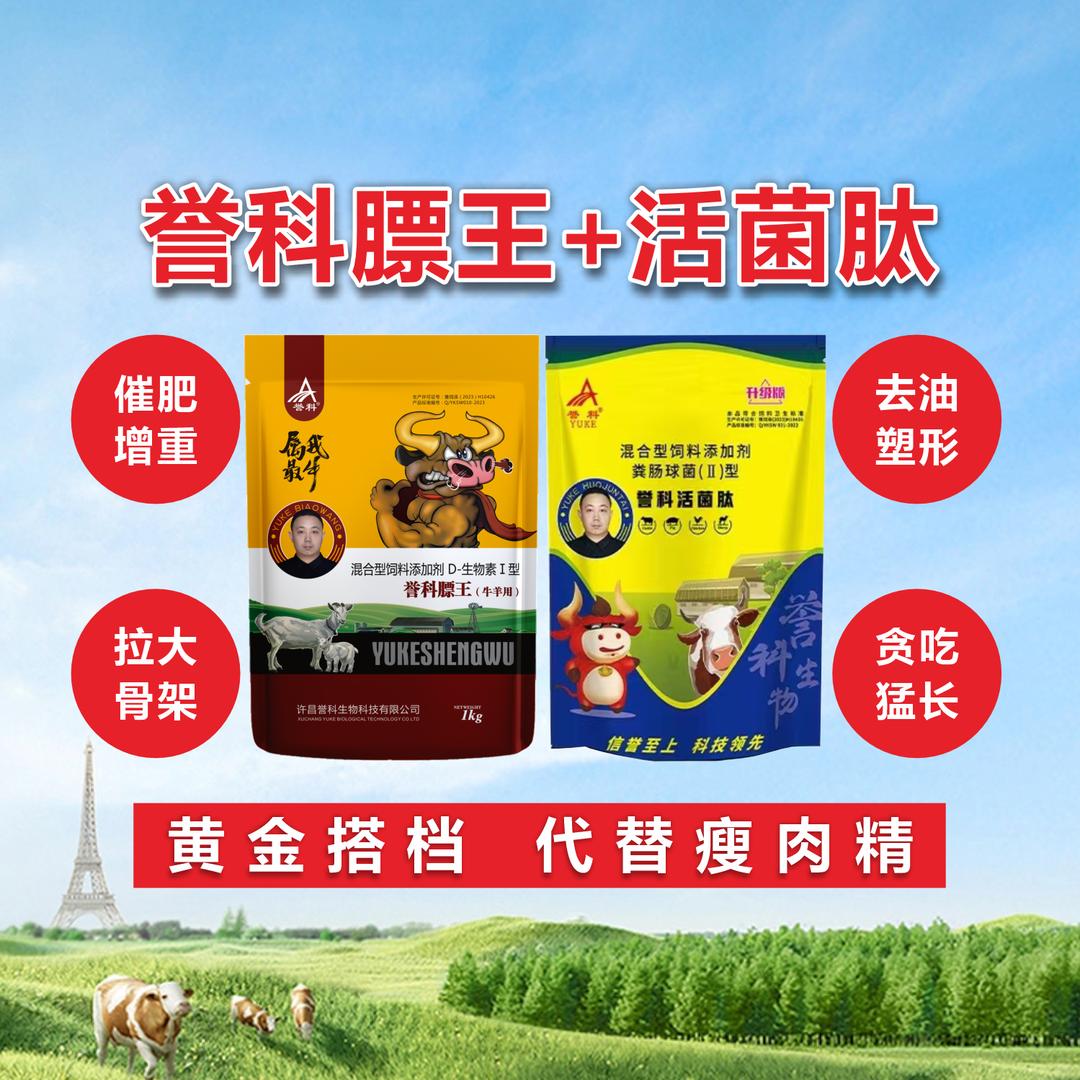 誉科膘王小刘总