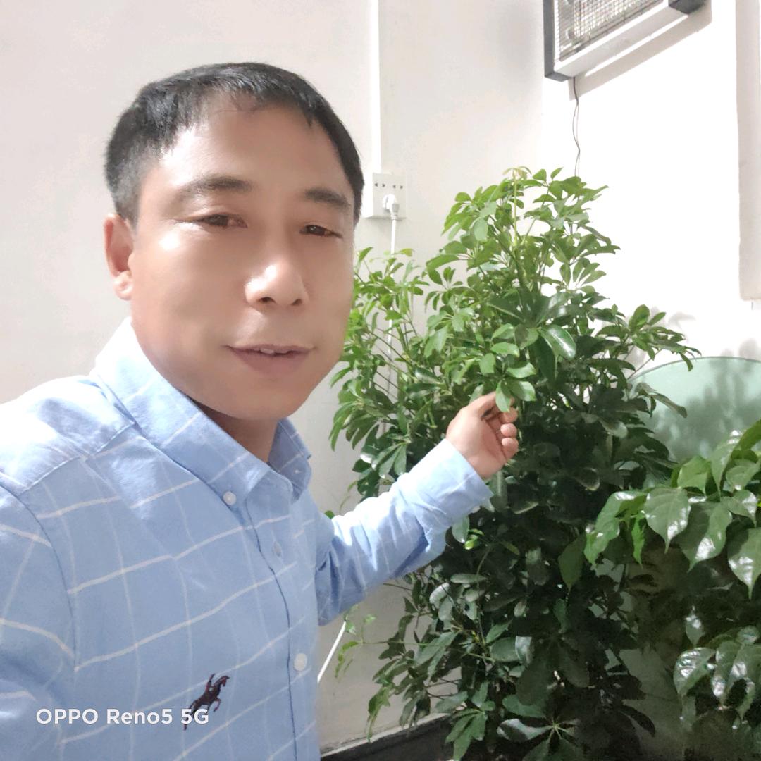 爱你无悔(小号)