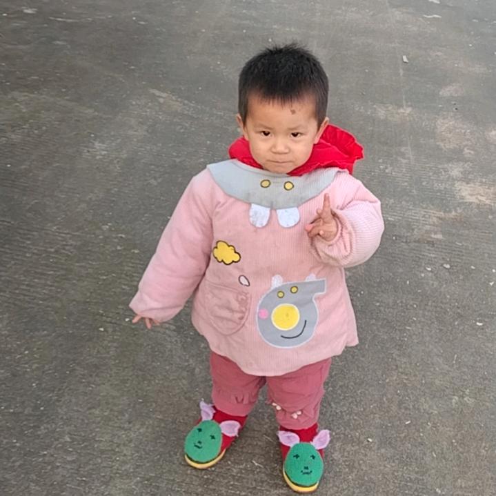 霸气小学生的菠萝