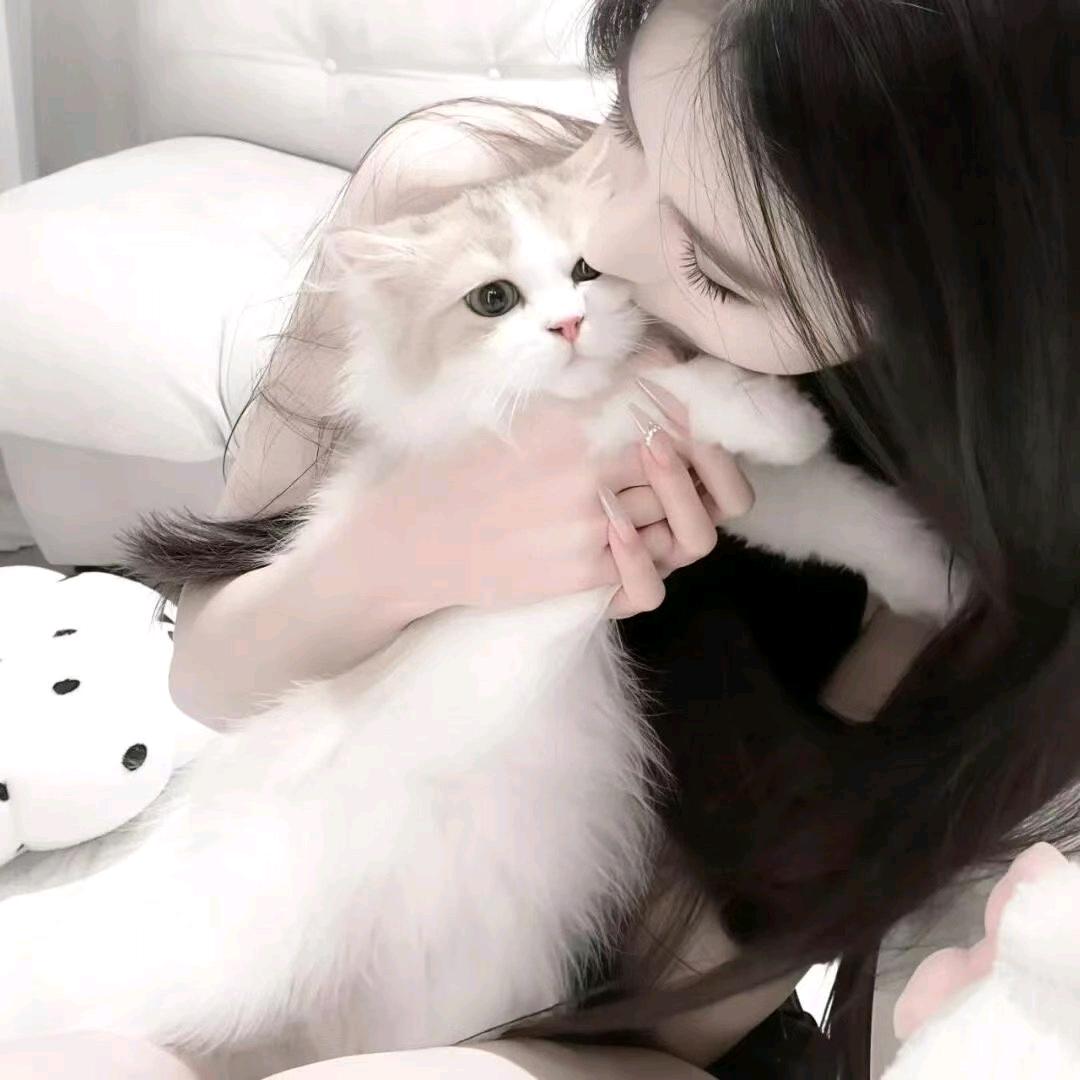 林听yee