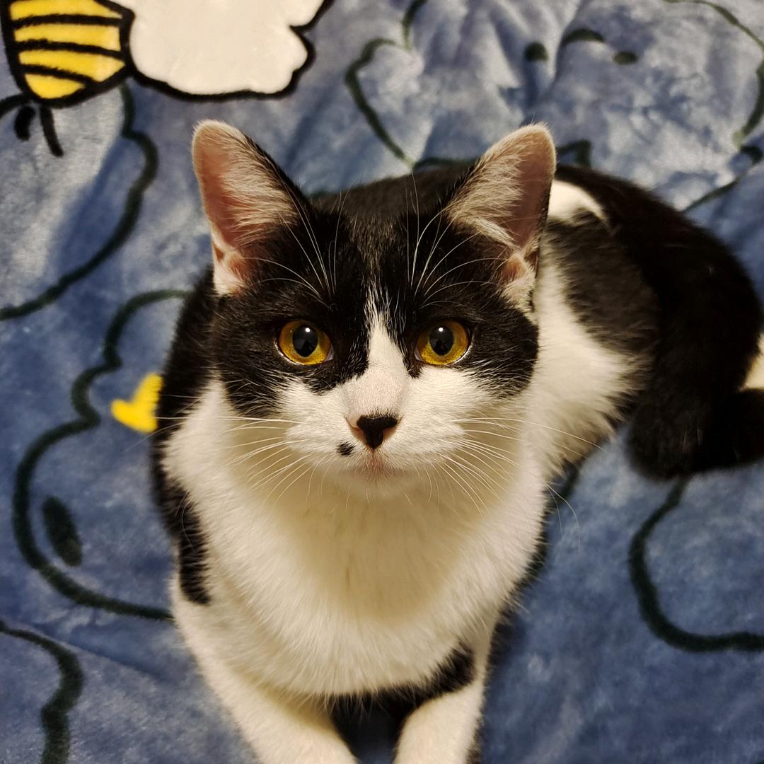 花开富贵好运连连