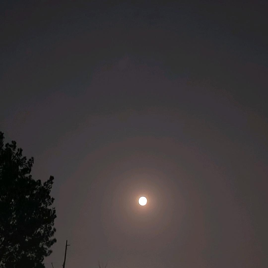 墨染芳华