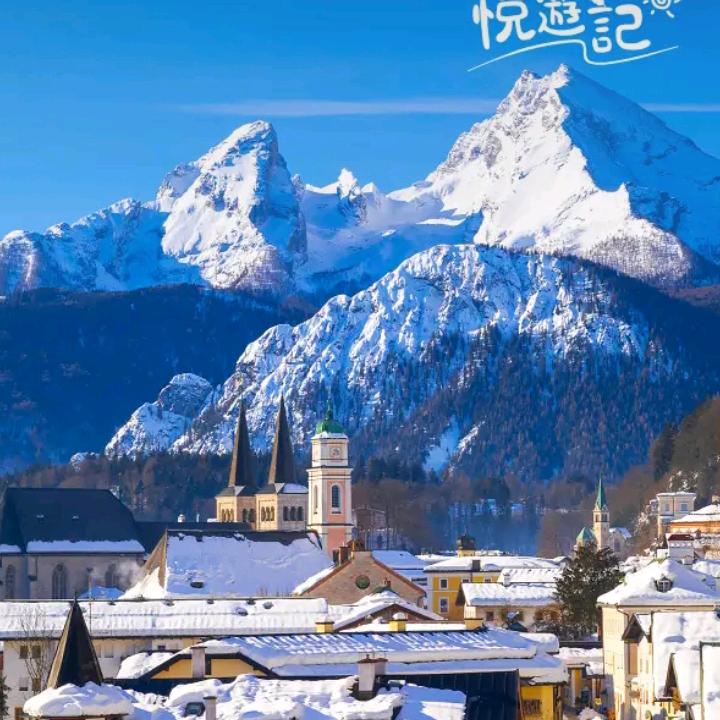 🌸风雨飘摇🌴