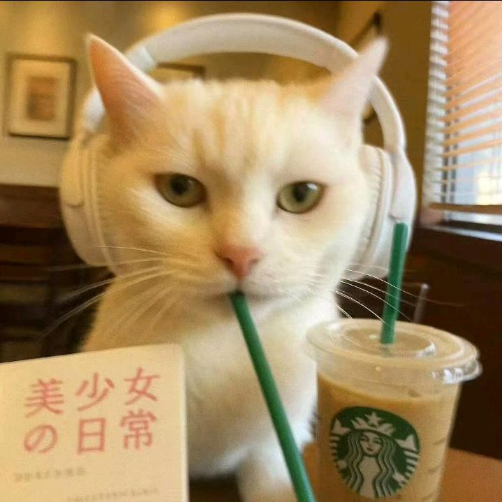 chili池鲤