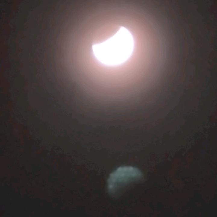 趖
