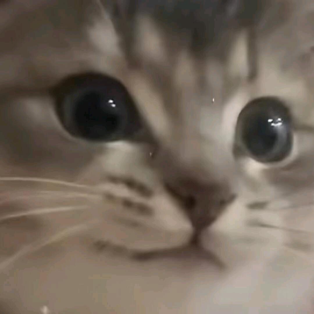 小许