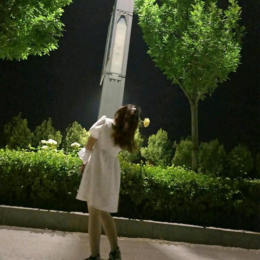 嬛嬛的木子