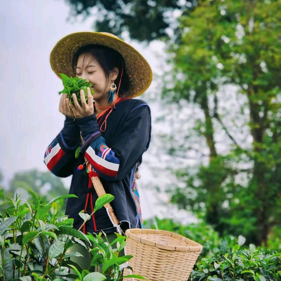 莉莉中缅现收山货