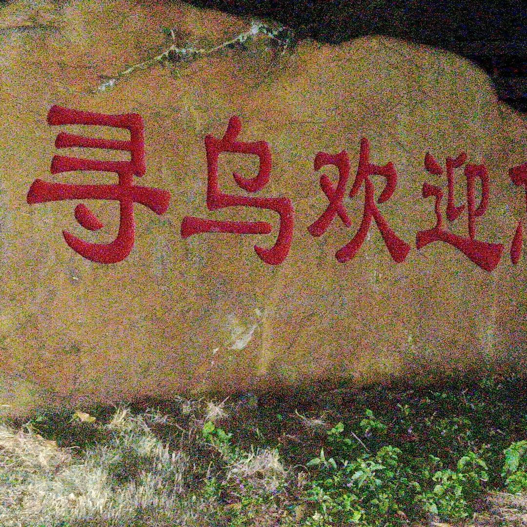 人生在世就应该心软