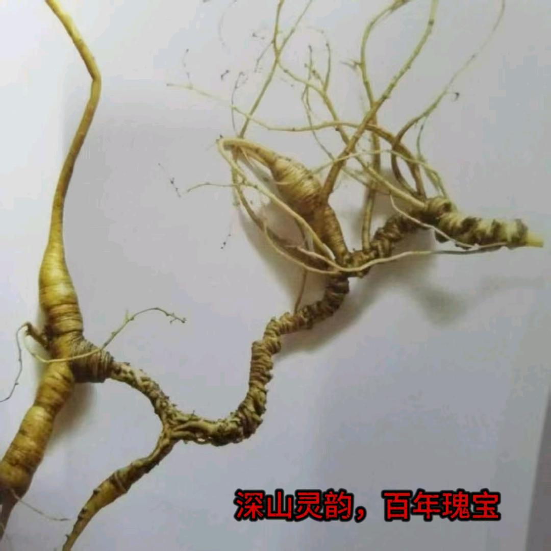 聚缘水参行1