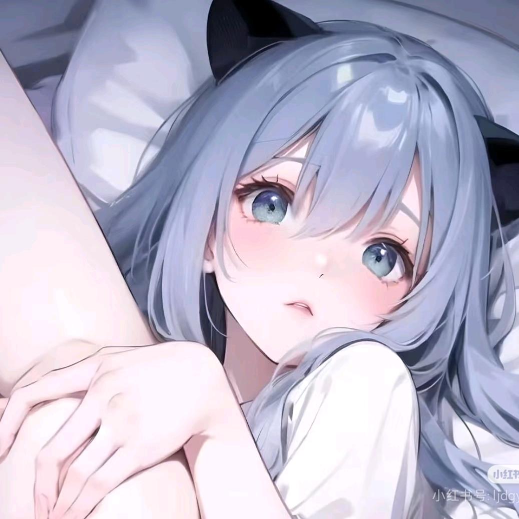 猫猫蛋包饭