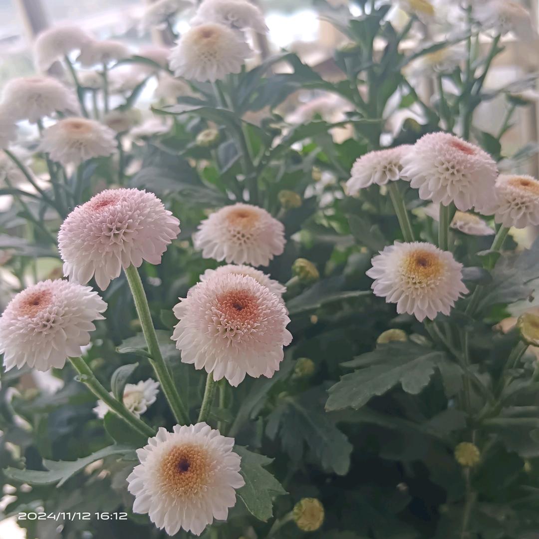 那些年(๑•̀ㅂ•́)و✧