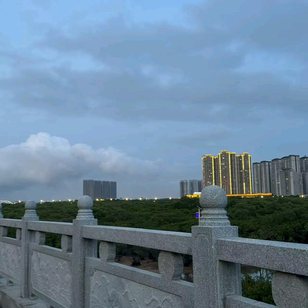 丽姐