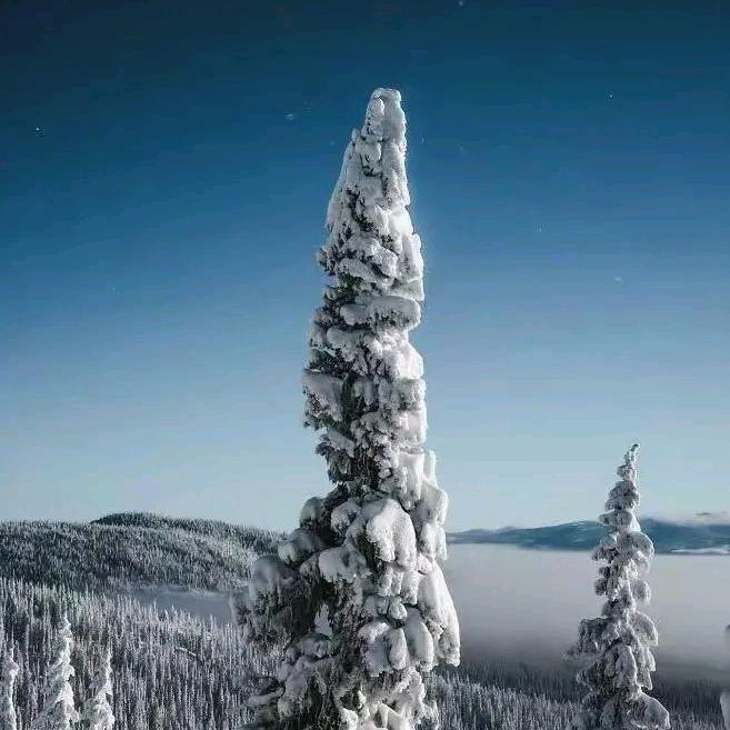 ༊ღ᭄心已ꦿ꯭归零〜