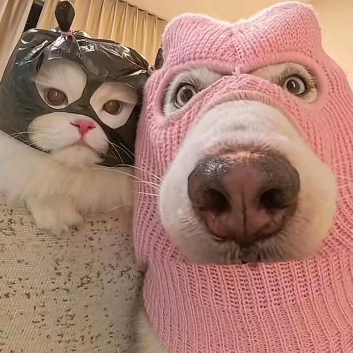 睡眠艺术家