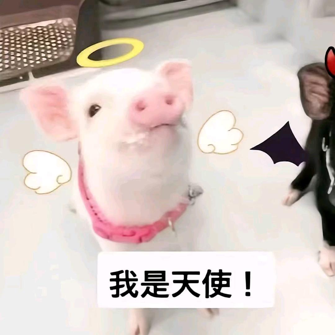 世界欠我一个爱.