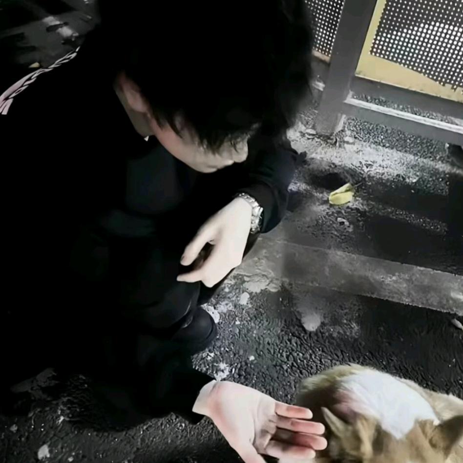 大华