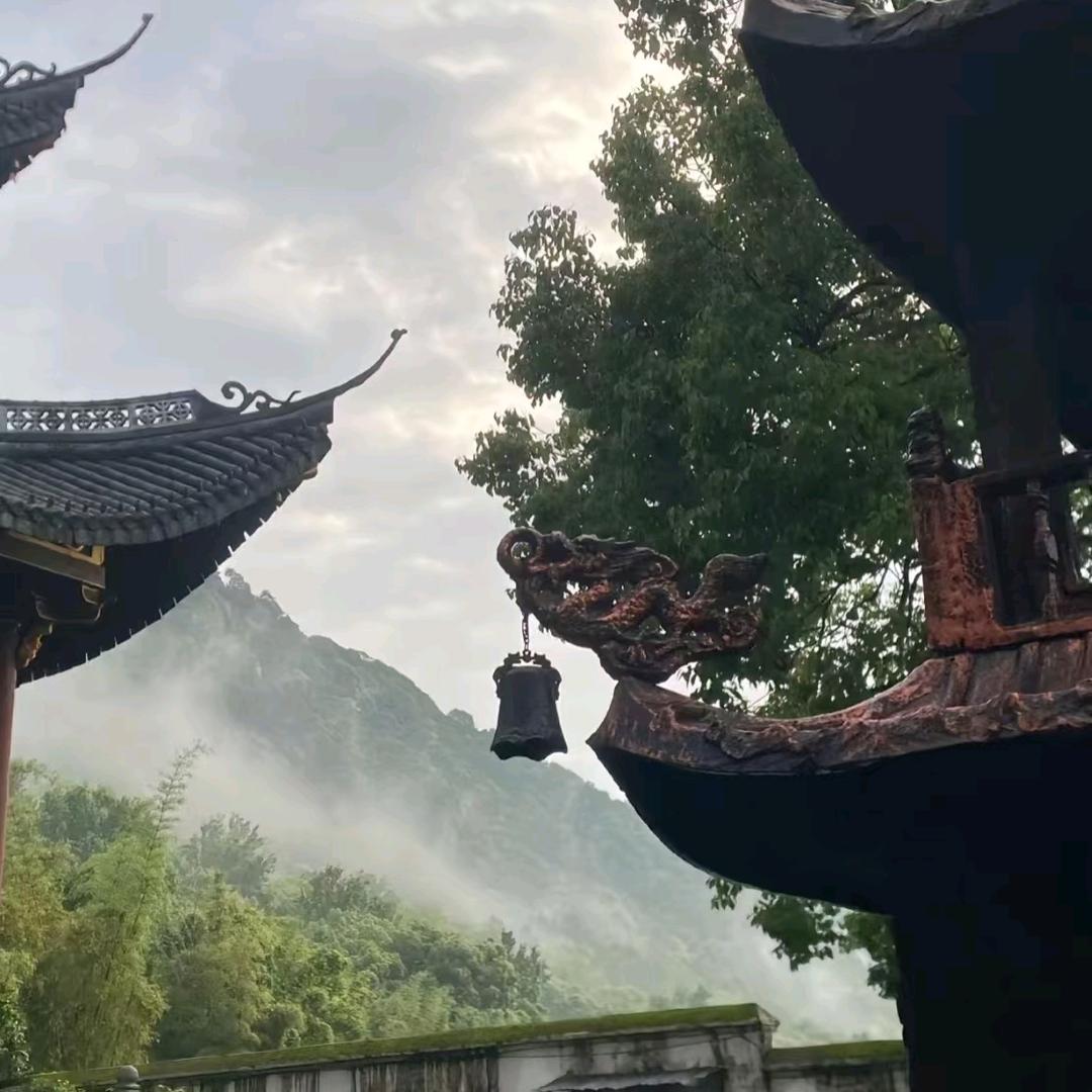 懂点易的中年快递小哥