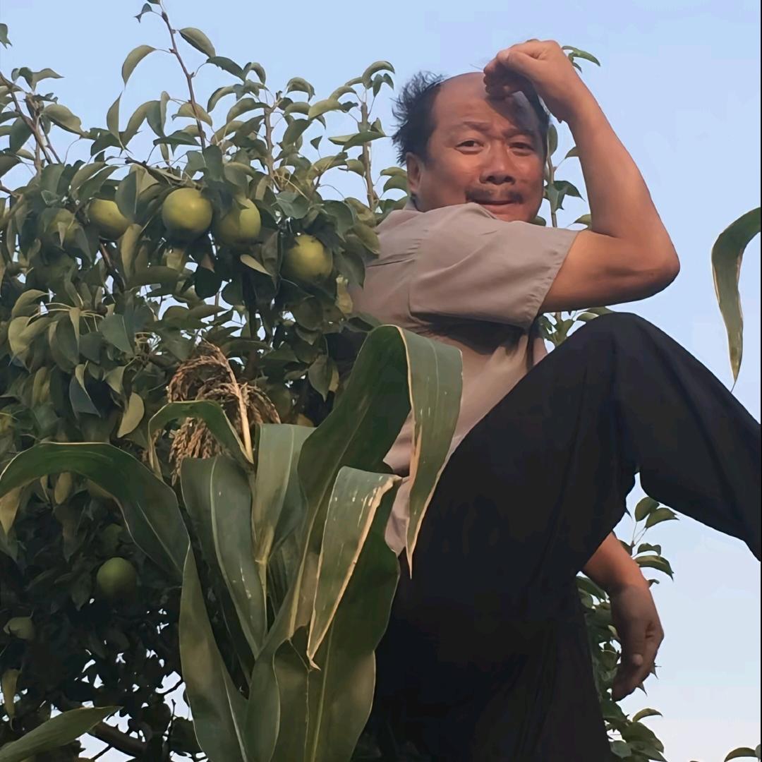 终归山河故里