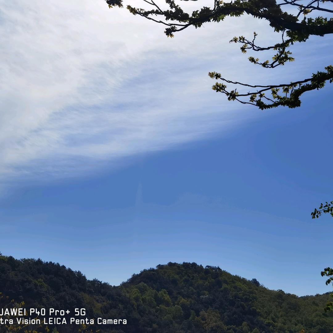 ੯‧̀͡₎᭄ྀི李鱼💕得水੯‧̀͡₎᭄