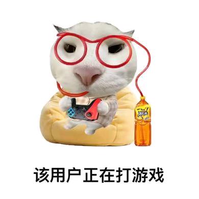 小羊爱玩游戏💤