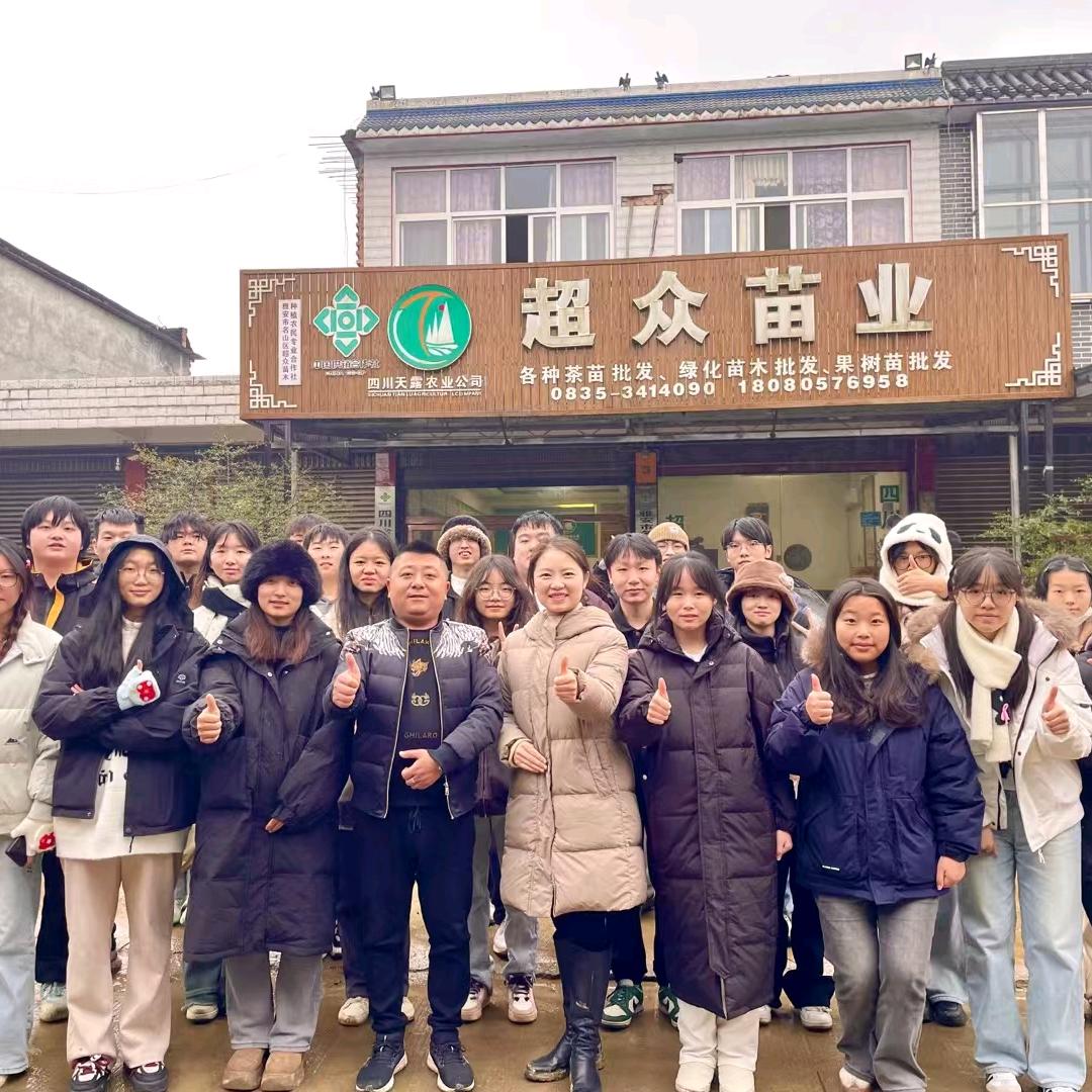雅安超众茶苗基地