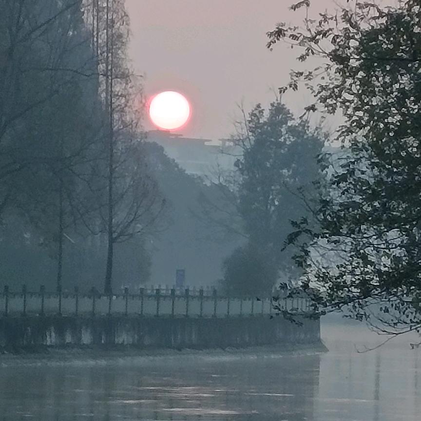 虎@哥🇨🇳🐅🐯