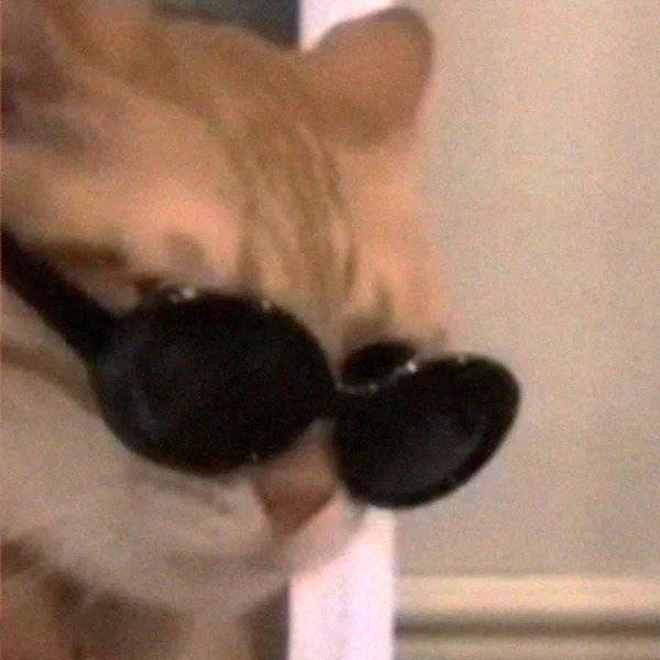 647