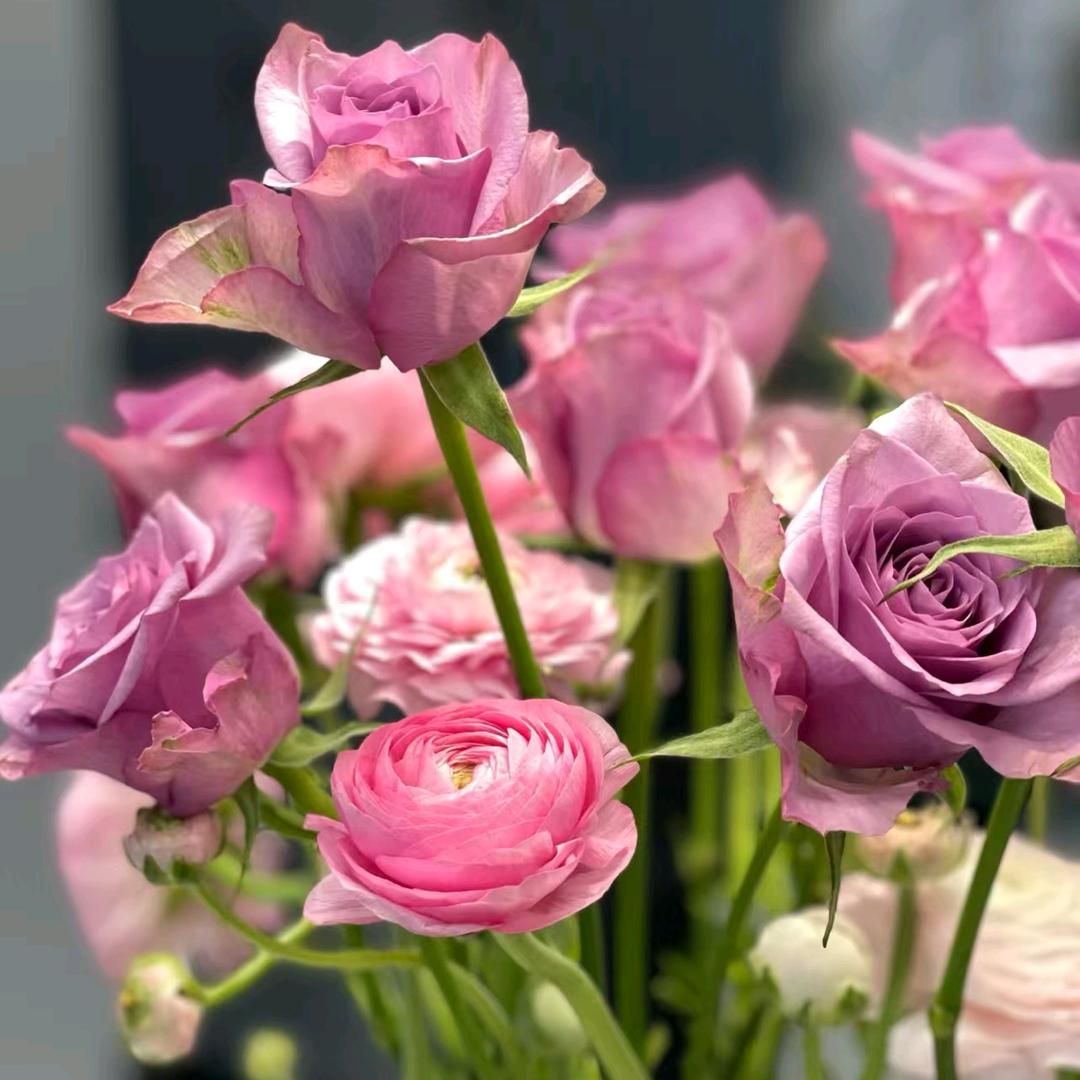 海宁富应叉车培训特种设备考证