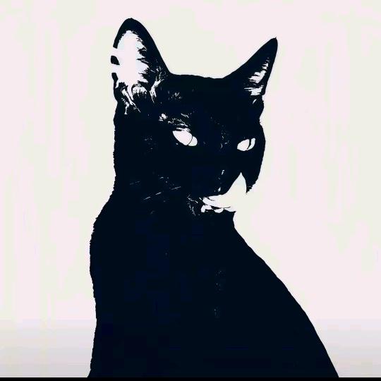 她们总说我很傻