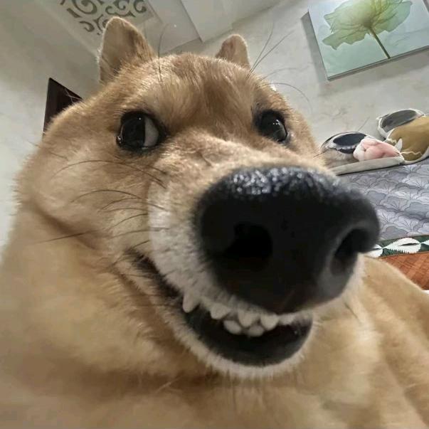电解质
