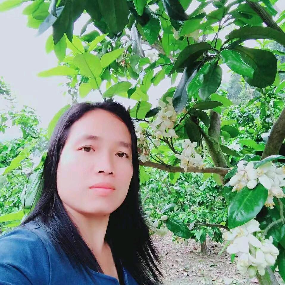 温（柴火米酒）