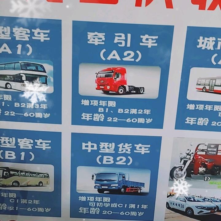 驾考，李教练长。